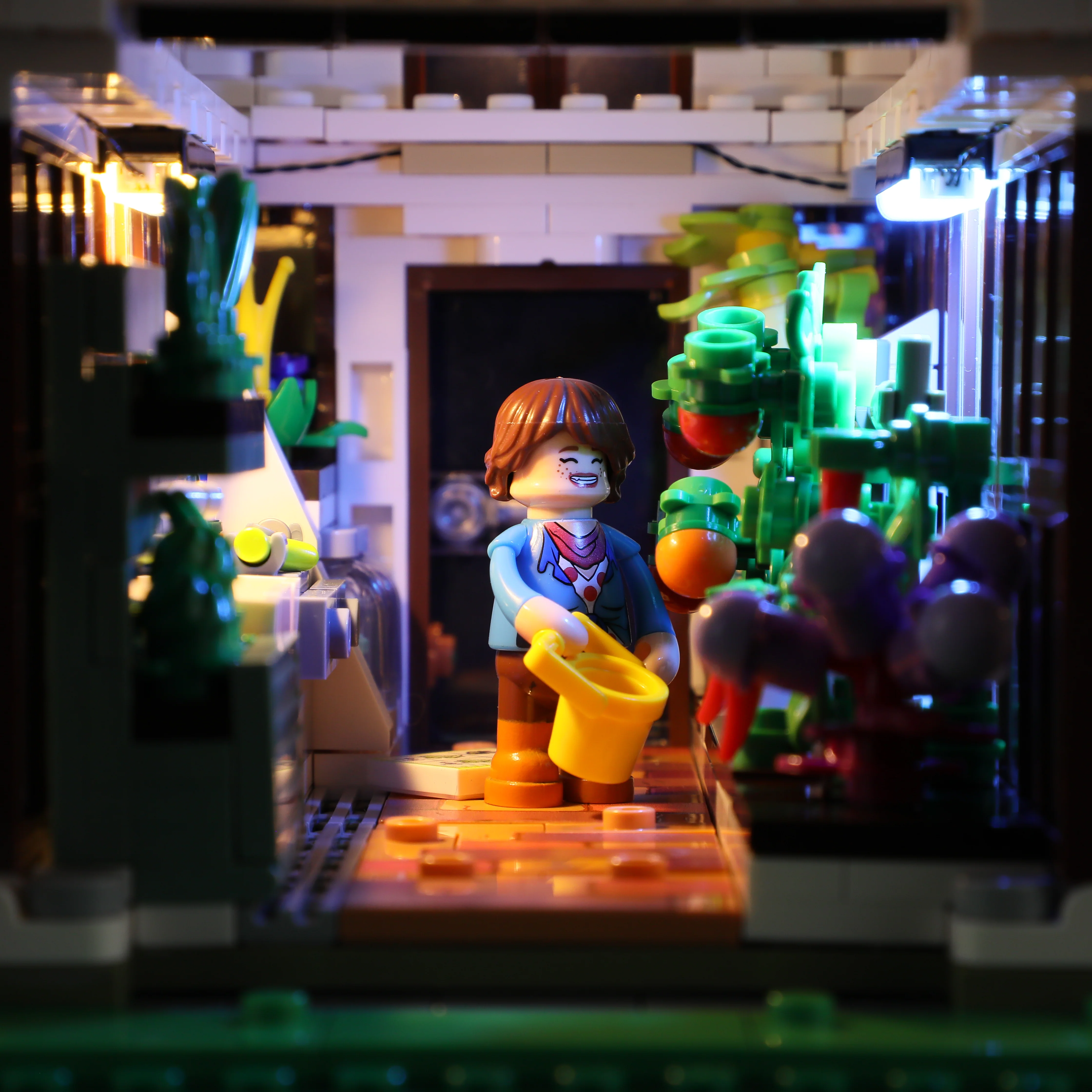 Home Greenhouse - Image 7