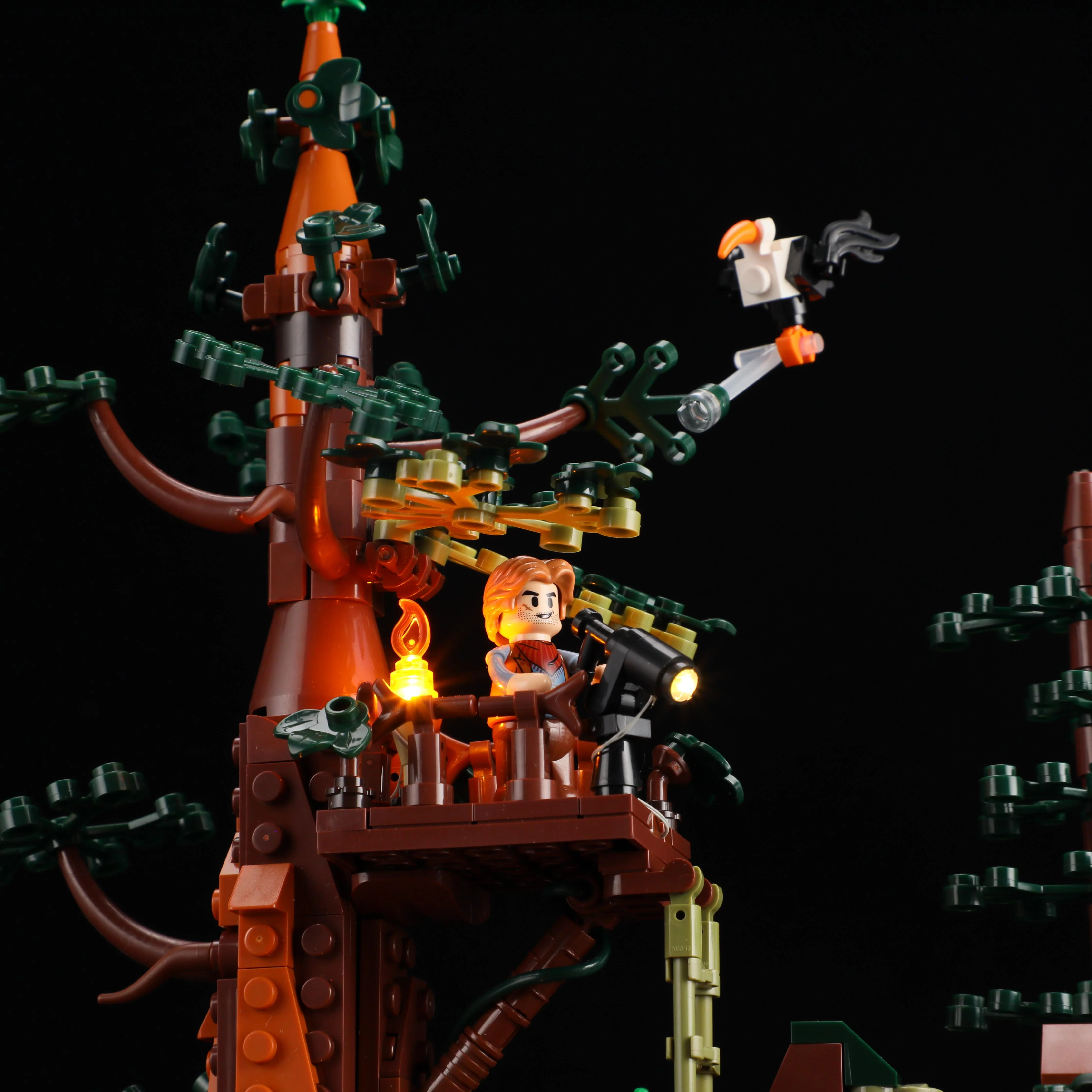 Sequoia Bandit Camp - Image 8