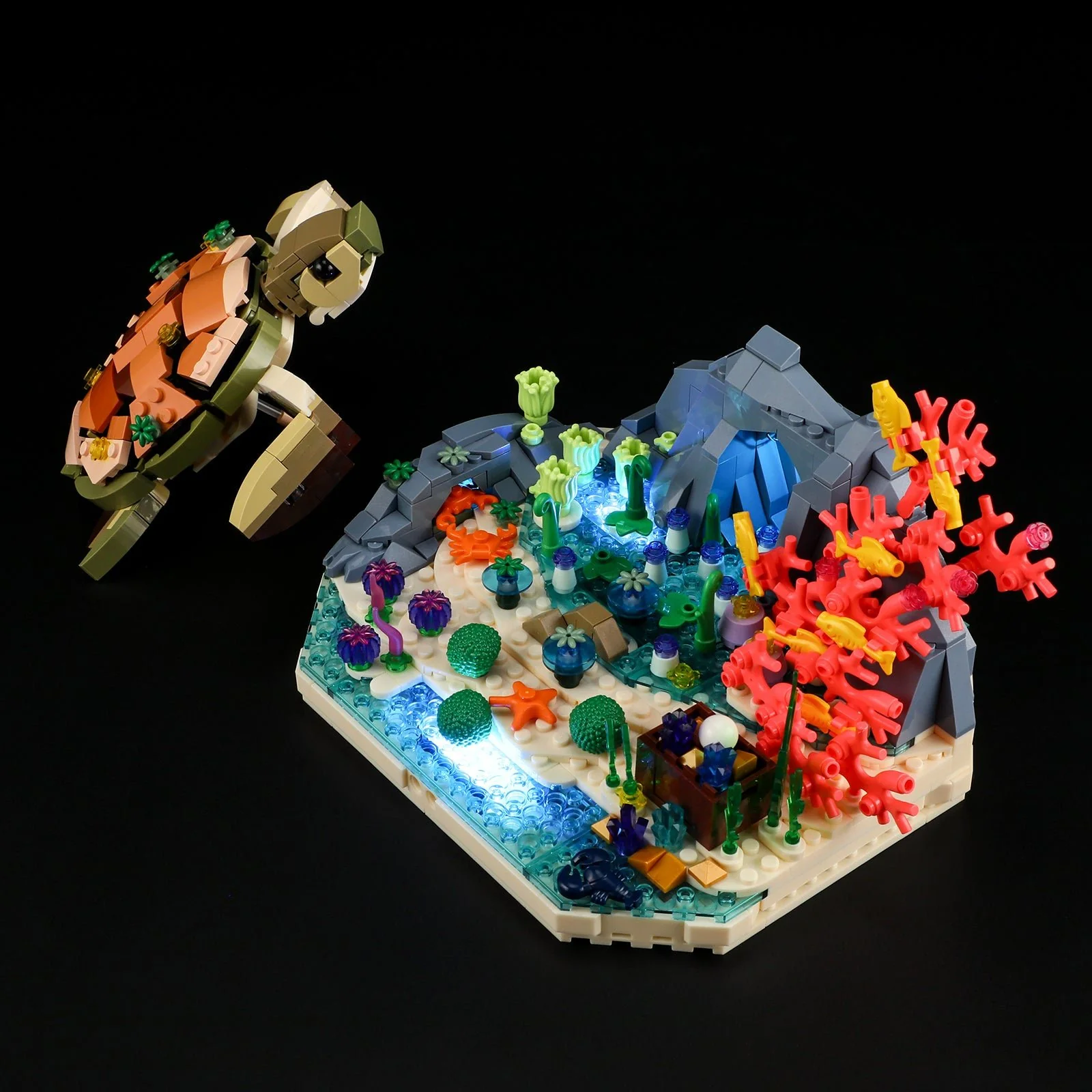 Turtle Reef Dream - Image 3
