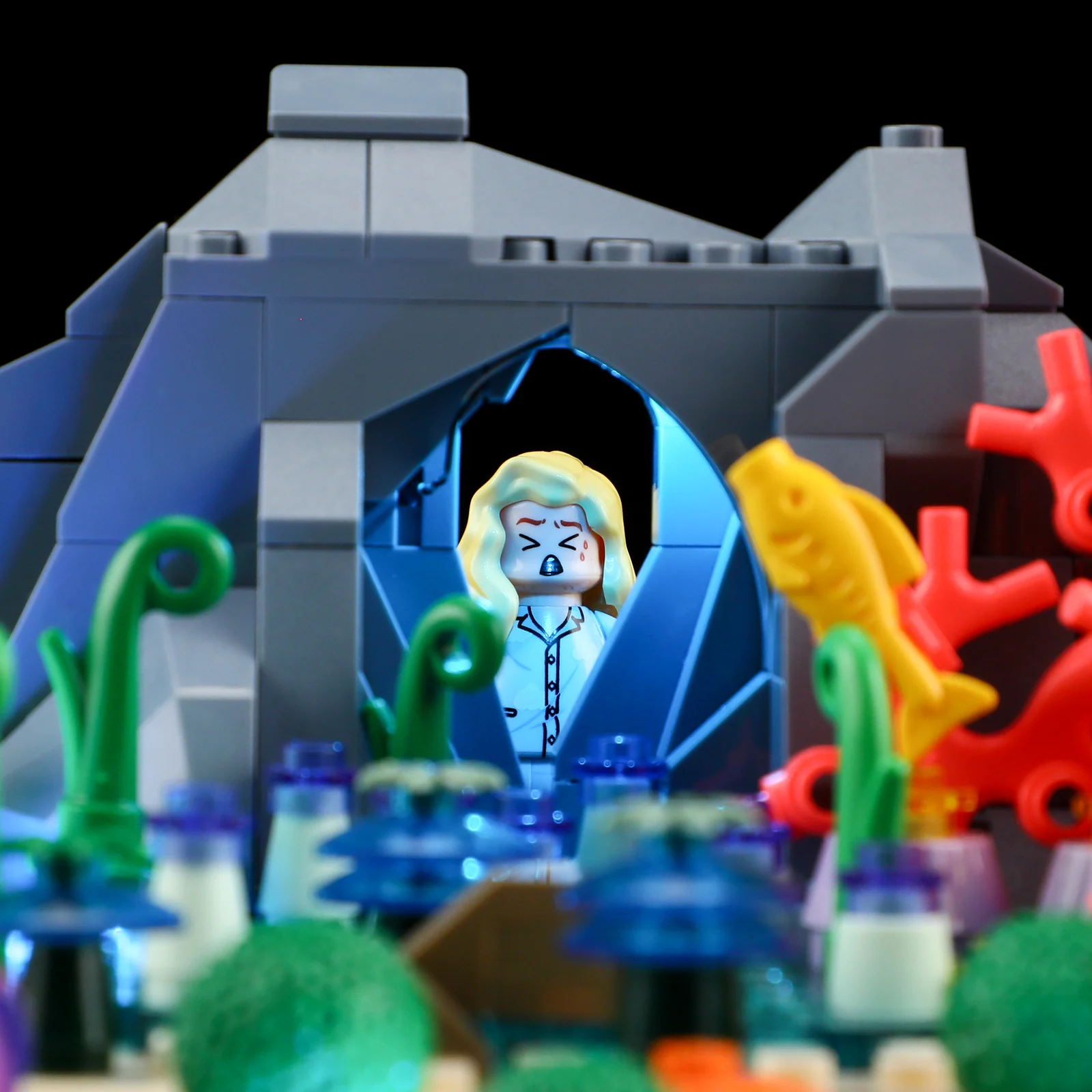 Turtle Reef Dream - Image 6